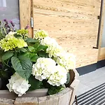 Apartmán Zeitfrei Fieberbrunn