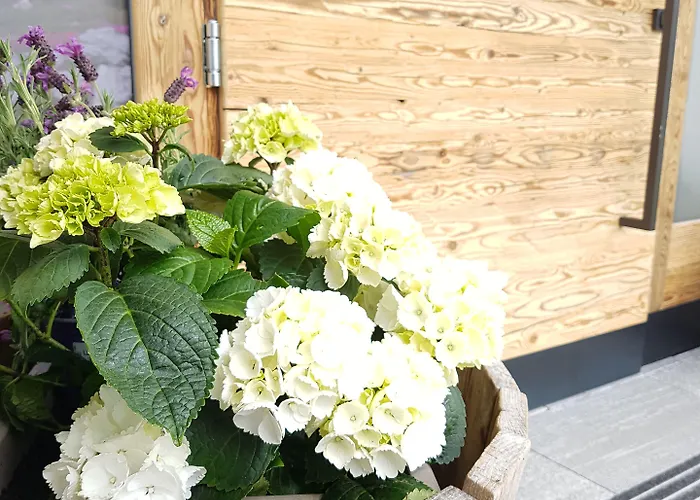 Lejlighed Zeitfrei Fieberbrunn