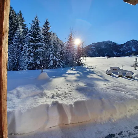 Zeitfrei フィーバーブルン