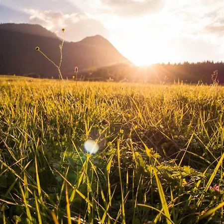 アパート Zeitfrei